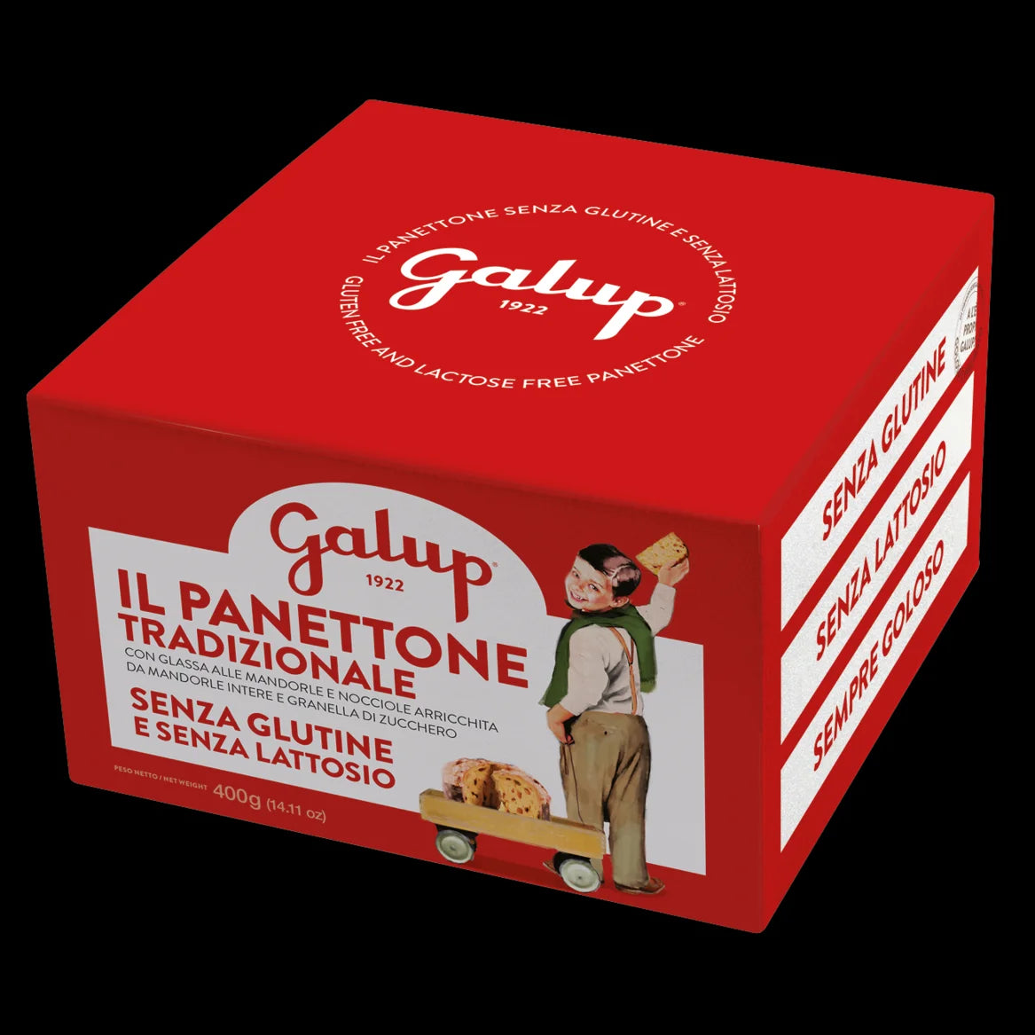 PANETTONE, GLUTENFREI